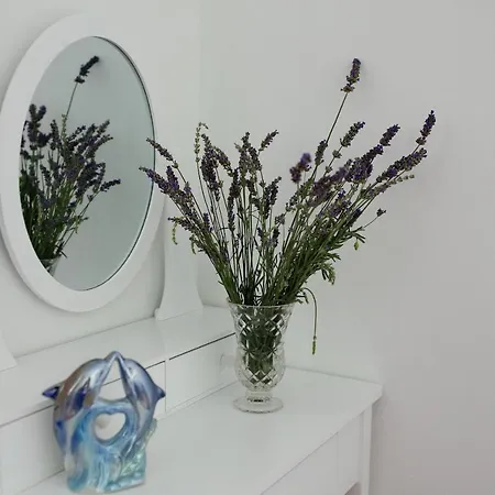 Marina S Pogledom, Apartamento *